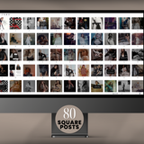 240 Millie Bold & Luxury Social Media