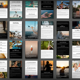 SEO Domination with MRR