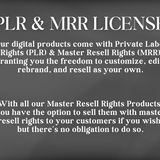 The Ultimate Digital Product Success Playbook with MRR