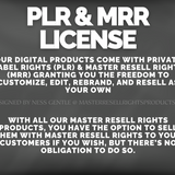 Faceless Reels Starter Kit With MRR