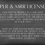 Financial Freedom with MRR eBook