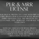 30 Reels With Video Hooks With MRR