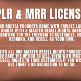 How To Start An Online Business with MRR